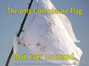 OnlyConfederateFlag